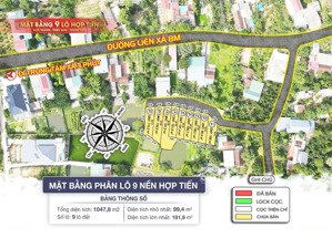 cực rẻ! 181 mét vuông đất full thổ cư sổ sẵn sát cao tốc nghi sơn - sân bay thọ xuân kcn