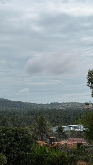 bán 1309m2 đường trần bình trọng, thiện nghiệp vị trí đẹp ngay ngã tư 715 giá tốt