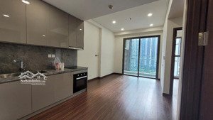 căn hộ hạng sang tphcm quốc lộ 13