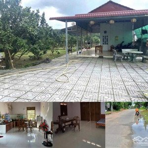 cực phẩm nhà vườn ngay ql13 - chơn thành, liền kề cụm kcn