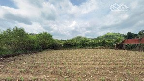 đất đẹp giá đầu tư
diện tích 317m full đất ở bám đường tỉnh lộ 12b