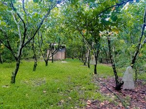 bán đất mt ql 1a, thành phố long khánh,240 tỷ, 3,1ha, giá siêu hời chỉ với cơ hội đầu tư tuyệt vời