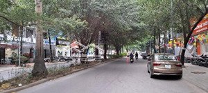 bán biệt thự mặt đường hạnh hoa kđt xa la, hà đông, diện tích: 125m2 gía 4x tỷ. lh: 