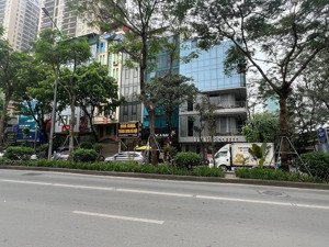 bán nhà phố láng hạ, khu văn phòng + cafe, dt 136m2, mặt tiền 8.5m, giá 61.5 tỷ