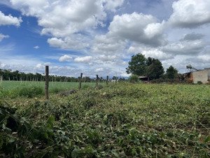 bán đất bình thạnh, đức trọng vị trí đẹp, giá tốt đầu tư sinh lời