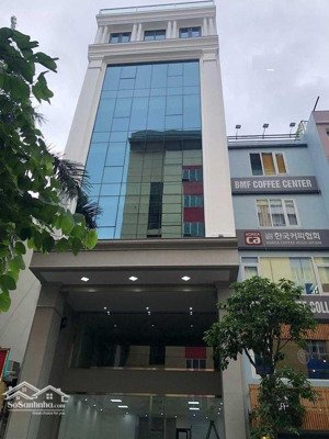 tòa nhà góc 2 mặt tiền nguyễn minh hoàng p. 12 tân bình - 7.8x20m - 6 tầng - hđt: 135tr - giá 43 tỷ