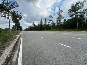 chính chủ kí gửi lô đất gần trường đh thủ dầu một dt 150m2 full thổ cư ngay trục đường da1 sổ sẵn