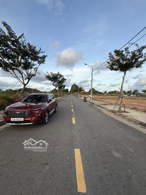 bán nhanh đầm sen b2-121-1x sạch đẹp giá hữu nghị 4ty850