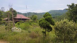 bán trang trại, khu nghỉ dưỡng tại đường 1, xã minh trí, sóc sơn, hà nội, giá thỏa thuận, 31000m2