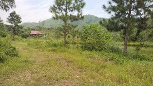 bán trang trại, khu nghỉ dưỡng tại 14 minh trí, sóc sơn, hà nội, giá thỏa thuận, 42000 m2