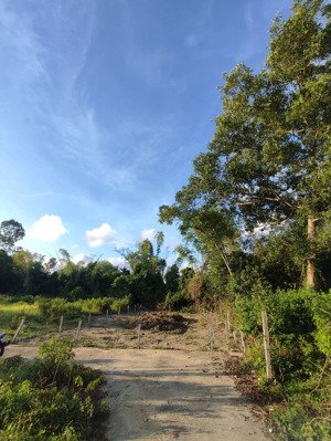 giảm giá 1,7 tỷ; cơ hội vàng cho nhà đầu tư muốn ngay-có thể sang tay "đất thổ cư diện tích lớn"