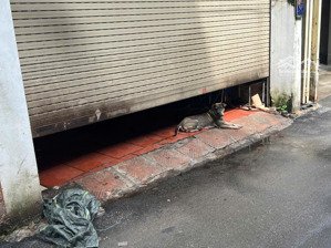 anh bình minh nhờ bán nhà cấp 4 trung tâm minh khai, ô tô vào nhà, diện tích 70m², mt 4.5m.