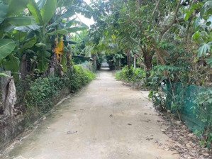 chao bán lô đất vườn có đất ở hoà bắc phường hải vân