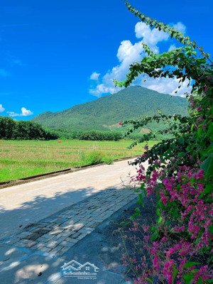 bán đất view đồng có nhà cấp 4 củ trên hòa phú, 800m2 có 300m2 đất ở.