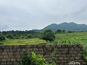 chuyển nhượng lô đất xóm dy , ba vì ! 2243m2 300tc