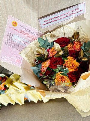 bán nhanh akari phase 2 sổ hồng sẵn; 80m2 thiết kế 2 ban công; tặng máy giặt máy sấy , máy lạnh.