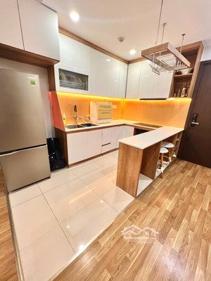 cho thuê căn hộ botanica premium 2pn full nội thất như hình