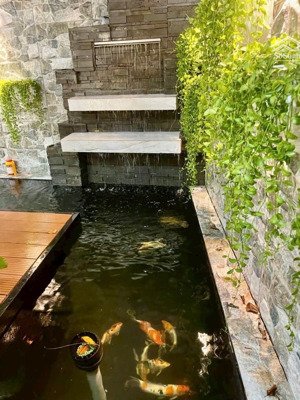 chốn bình yên nơi phố thị tấp nập, nhà vườn đầy đủ công năng tại huỳnh tấn phát, phú xuân, nhà bè