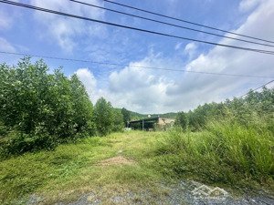 cho thuê đất 1,8ha có sẵn nhà, điện, nước tại xã thường tân tp.hồ chí minh