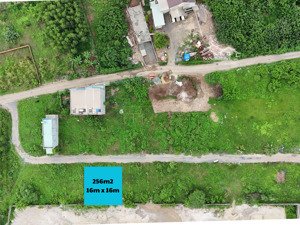 bán đất tại phước tân, biên hòa, đồng nai, 4,011 tỷ, 256 m2 chỉ với giá tốt