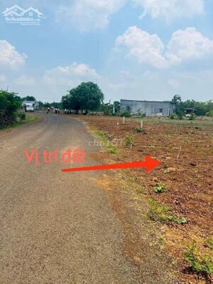 CHÍNH CHỦ CẦN SANG LẠI 4000M2 ĐẤT SHR NGAY KCN NHA BÍCH MT ĐƯỜNG 16M DÂN CƯ HH GIÁ 420 TRIỆU