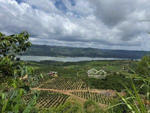 bán đất liên hà, lâm hà, lâm đồng. giá tốt