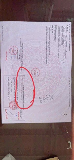 chính chủ gửi bán những lô đất thổ cư sổ riêng tại tân uyên lh: 034x6363x781 trung hưng