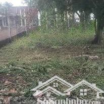 bán đất xuân phú, full thổ cư, cách ql1a 300m, giá chỉ 650 triệu/nền, sổ riêng