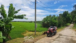 bán 8 công đất ruộng gáo giồng cao lãnh mặt tiền