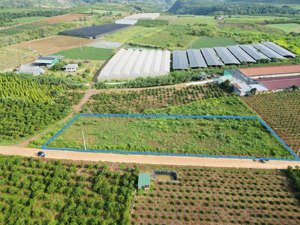 bán nguyên lốc 20 lô đất đức trọng giá f0 - gần sân bay liên khương