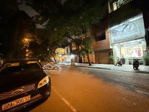 mặt phố kinh doanh, dòng tiền đỉnh, phố rộng 3oto tránh, mt quyền lực. dt 220m 2t mt9,5m giá 120ty