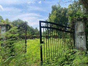 hàng ngộp. siêu rẻ. hxh đường số. long phước. quận 9.