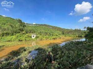 BÁN 11.500m² ĐẤT TRONG ĐÓ 1.000m² THỔ CƯ – XÃ ĐẠI PHÚC (Phúc Xuân cũ), tỉnh Thái Nguyên, sđt 0962259168