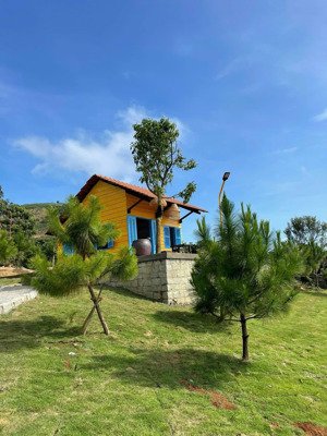 cực hiếm nhà bảo lộc: 1.549m² đất nông nghiệp + nhà sẵn đại lào giá chỉ 2.4 tỷ