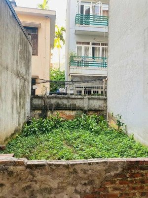 bán đất kẻ vẽ đông ngạc 55m mt 4,2m hơn 7 tỷ ngõ thông ô tô