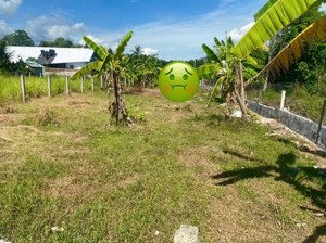 đất đẹp xây nhà vườn gần vành đai phía tây, 397m2 có 200m2 đất ở tách thửa được.