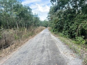 bán 8mẫu4 xã bàu lâm, tp hcm. hơn 400m mặt tiền đường. giá chỉ 450tr/sào lh 