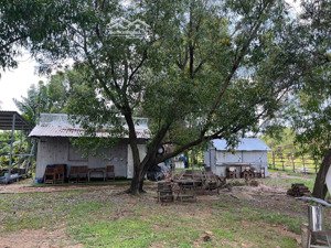 bán đất mặt tiền sông sài gòn khu bán đảo bình quới thanh đa