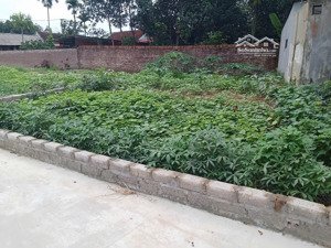 chưa đến 2tỷ sở hữu ngay lô đất 100m full tc - cách khu công nghệ cao hòa lạc chỉ 5-10p di chuyển