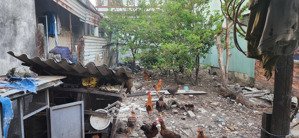 cần bán đất kiệt nguyễn phước nguyên, giá chính chủ.