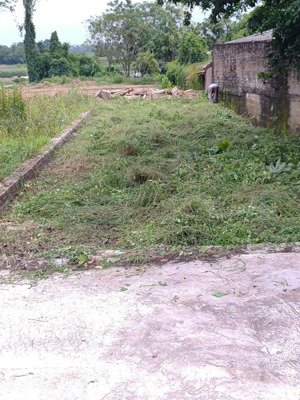 chủ cắt lỗ mảnh đất đẹp tại yên khoái, quảng oai, hn. vị trí gần hồ suối hai, cách đường nhựa 400m