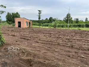 cơ hội đầu tư đất lớn - nhà vườn nghỉ dưỡng 2 mặt tiền giá chỉ 1 triệu/m² - cẩm mỹ, đồng nai.