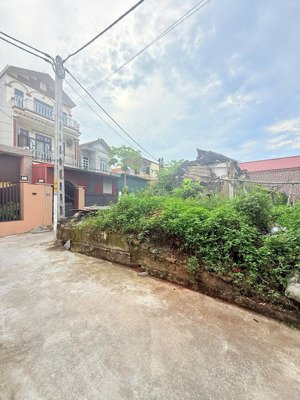 bán đất đẹp tại phương đình - đan phượng - hà nội - 44,6m2