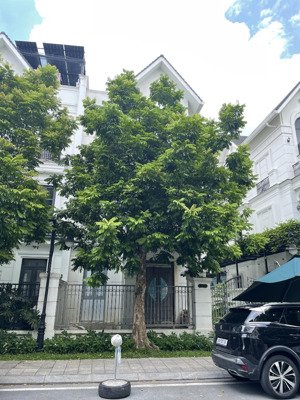 bán gấp biệt thự song lập san hô 12 vinhomes ocean park cực hiếm căn bán giá chỉ 28,8 tỷ