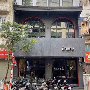 cho thuê gấp nhà mặt phố 35m2, 45 triệu tại tuệ tĩnh, nguyễn du, hai bà trưng, hà nội