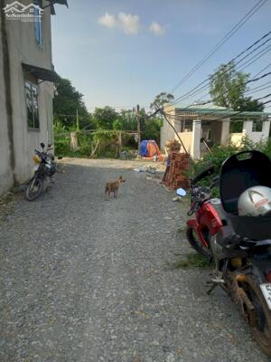 125m2 có thổ cư. Đất Phước Đông. Ngay KCN 3200ha. 490tr TL