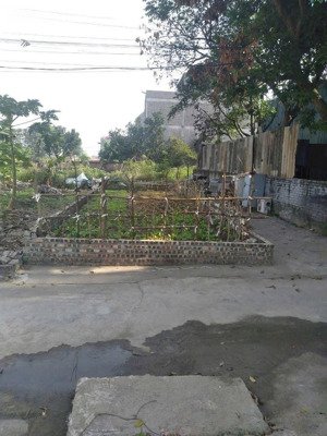 bán đất mai lâm, 63m2, 4 tỉ, lô góc, ô tô vào nhà, vài phút lên cầu tứ liên, vinhomes, triển lãm