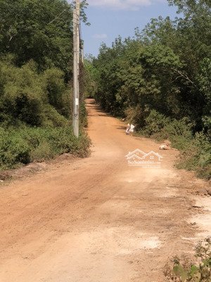 định hiệp dầu tiếng bình dương ( nay là xã thanh an tp hcm) 9xao đất cln 80m mat tiên gia 1ty8