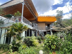 nhà 2 mặt tiền sổ hồng riêng view săn mây tuyệt đẹp.1018m2 hồ cá koi sân vườn rau củ