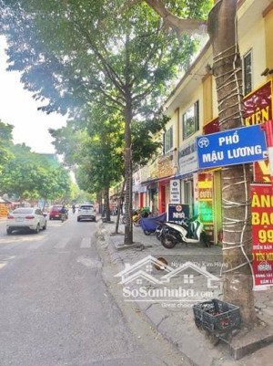 mảnh đất vàng mậu lương ô tô tránh, 3 bước ra mặt phố, sổ phân lô, mặt tiền 5m chỉ nhỉnh 12 ty